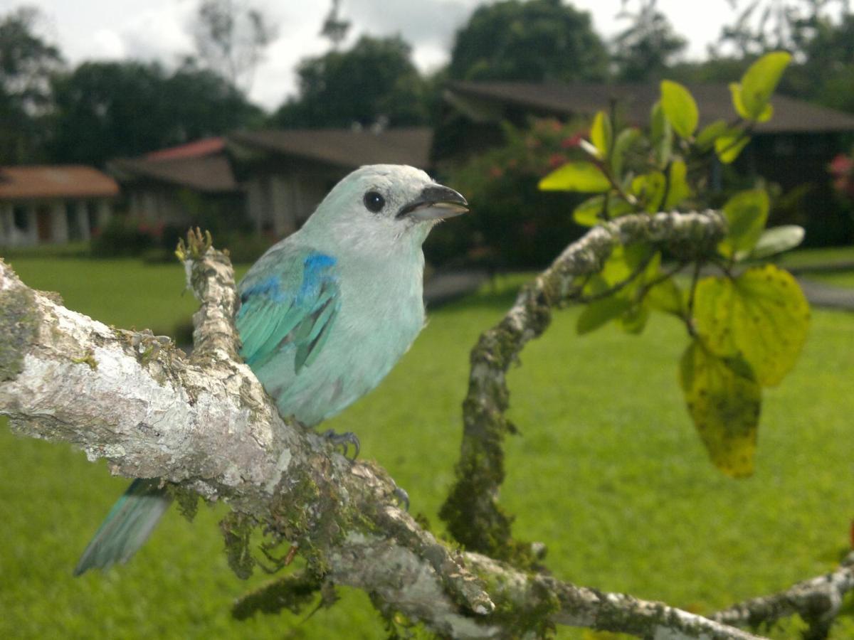 Hotel Eco Arenal La Fortuna Zimmer foto